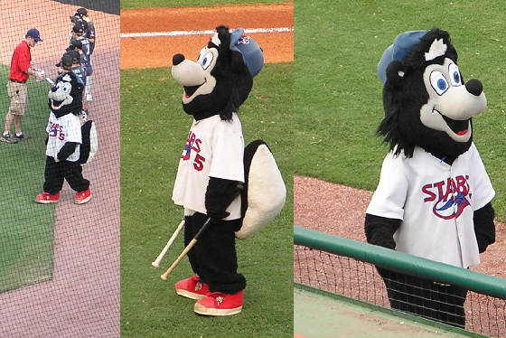 Homer - The Star's Mascot - Joe Davis Stadium